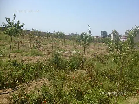 Satılır torpaq sahəsi