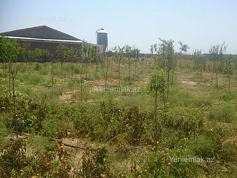 Satılır torpaq sahəsi