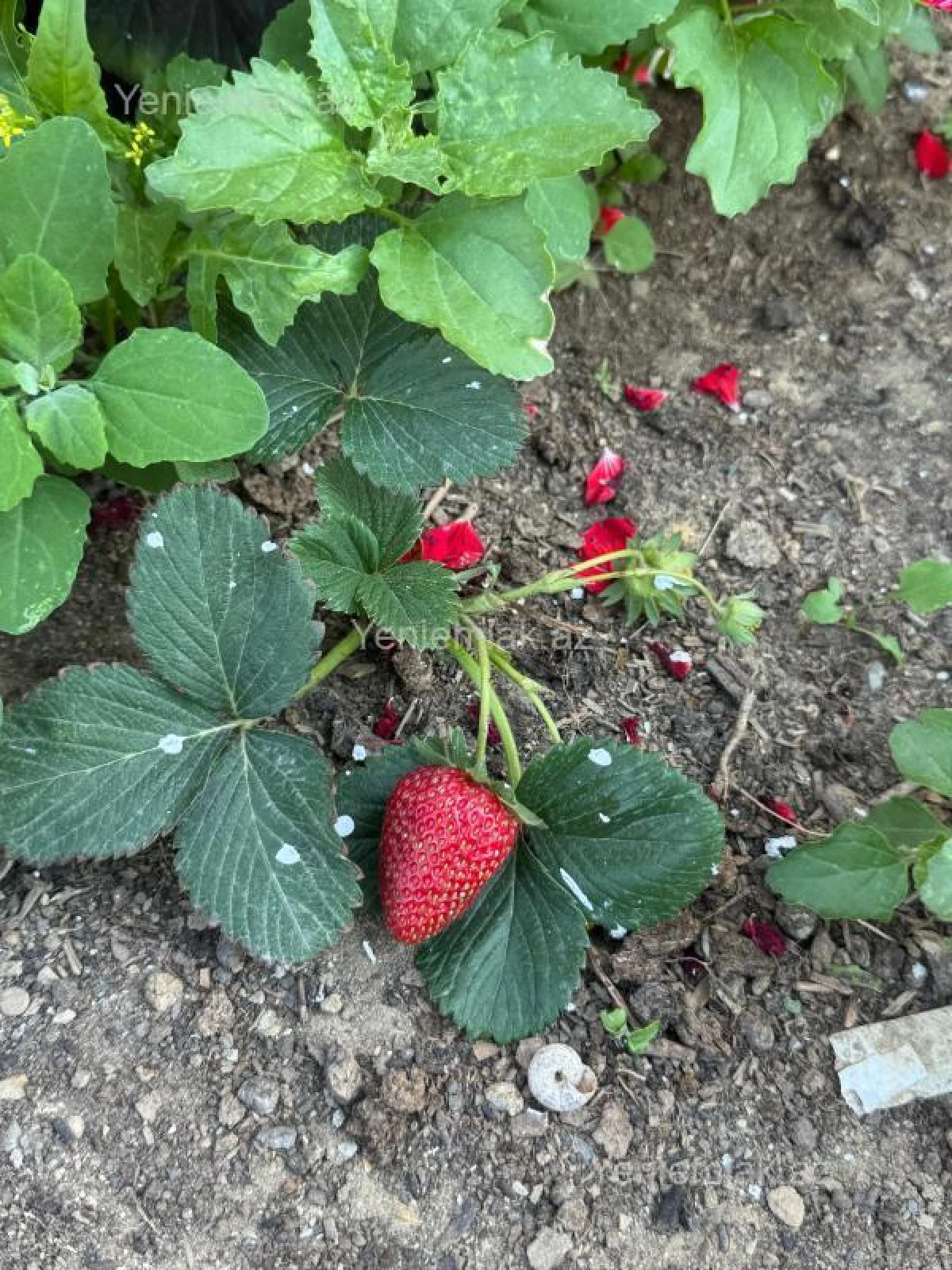 Satılır 7 otaqlı həyət evi 192 m²