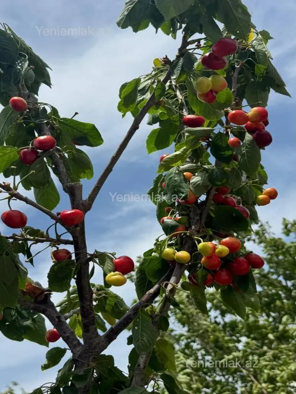 Satılır 7 otaqlı həyət evi 192 m²