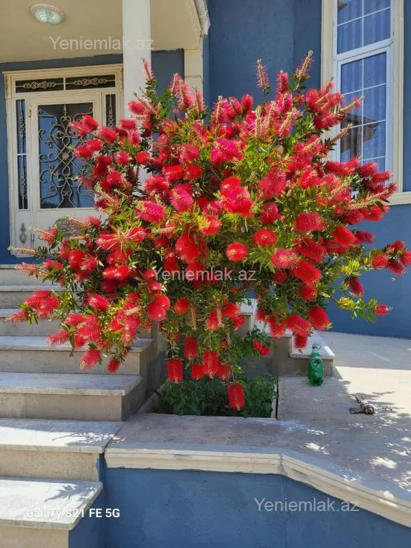 Satılır 5 otaqlı həyət evi 240 m²