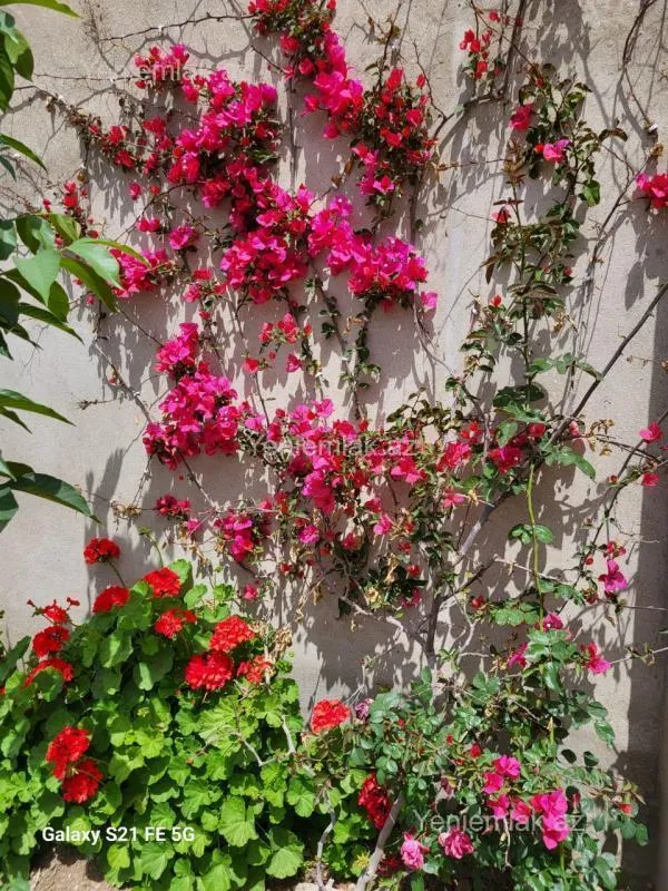 Satılır 5 otaqlı həyət evi 240 m²