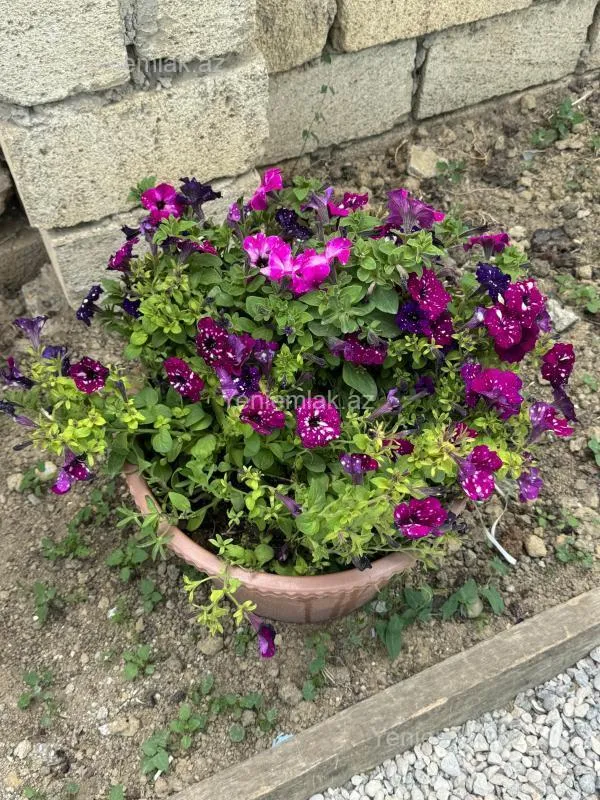 Satılır 5 otaqlı həyət evi 190 m²