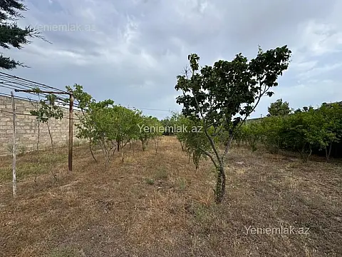 Satılır torpaq sahəsi