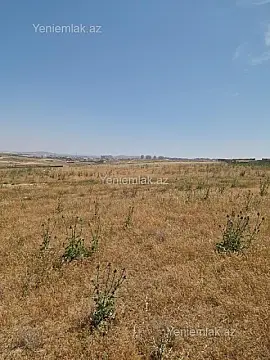 Satılır torpaq sahəsi — Abşeron, Saray