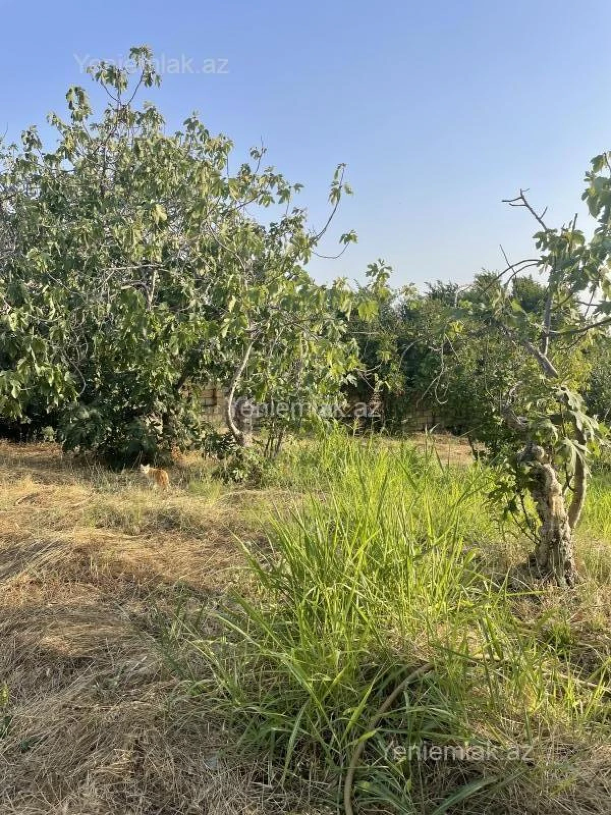 Satılır 4 otaqlı həyət evi 150 m²