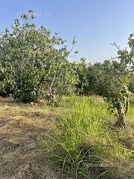 Satılır 4 otaqlı həyət evi 150 m²