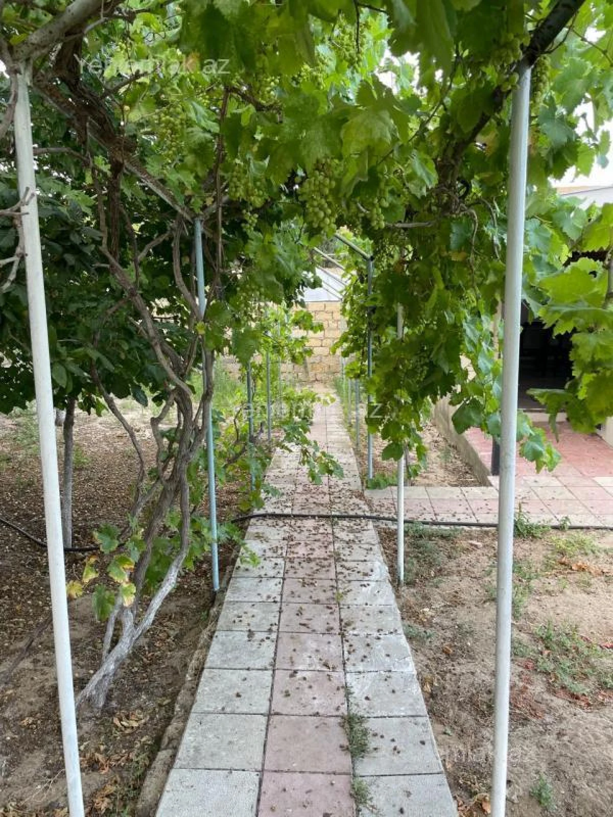 Satılır 2 otaqlı həyət evi 80 m²