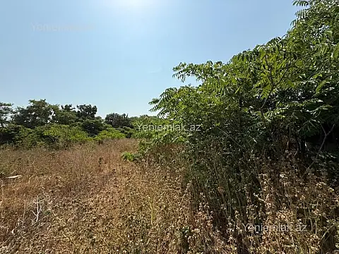 Satılır torpaq sahəsi