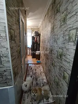 Satılır 2 otaqlı köhnə tikili 48 m²