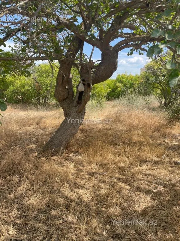 Satılır 4 otaqlı həyət evi 100 m²