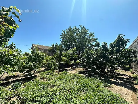 Satılır torpaq sahəsi