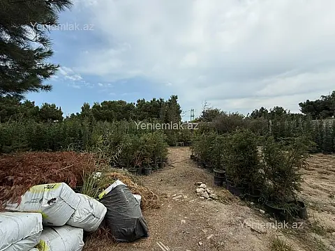 Satılır torpaq sahəsi