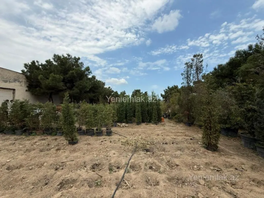 Satılır torpaq sahəsi