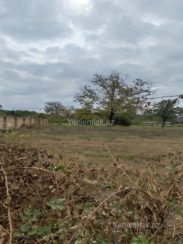 Satılır torpaq sahəsi