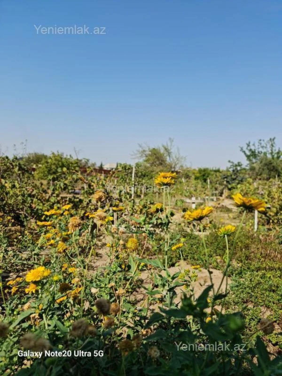 Satılır 4 otaqlı həyət evi 200 m²