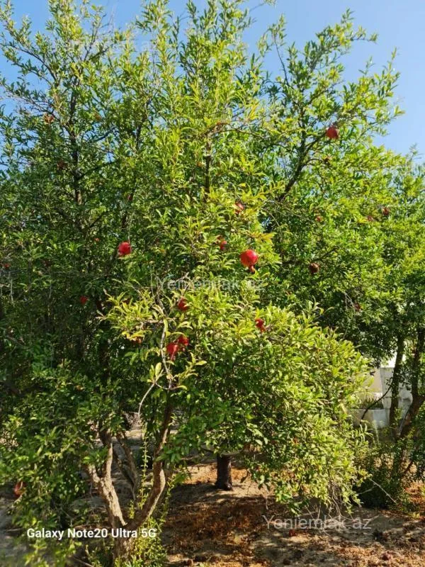 Satılır 4 otaqlı həyət evi 200 m²