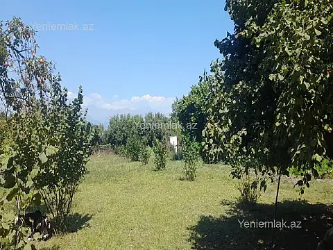 Satılır torpaq sahəsi — Qəbələ