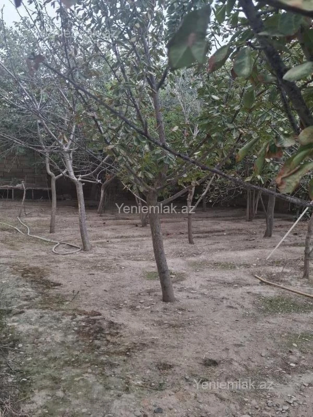 Satılır 6 otaqlı həyət evi 260 m²