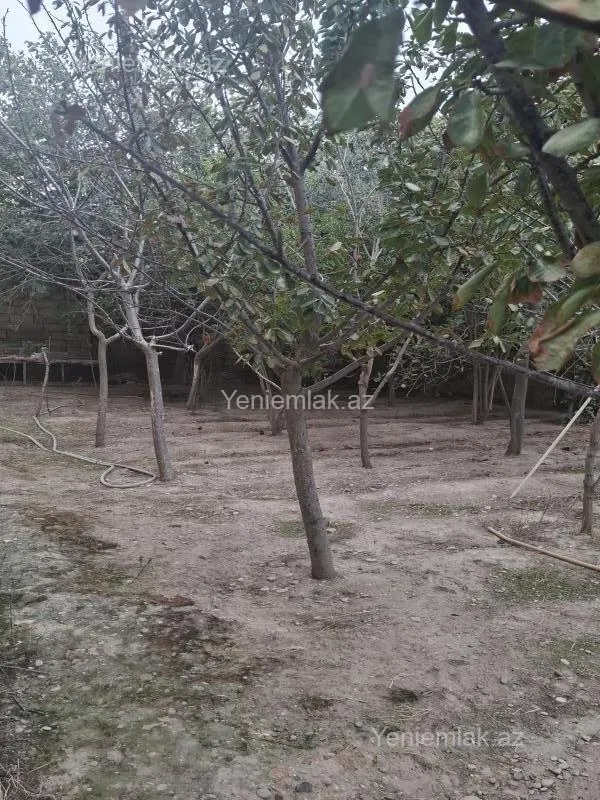 Satılır 6 otaqlı həyət evi 260 m²