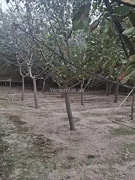 Satılır 5 otaqlı həyət evi 280 m²