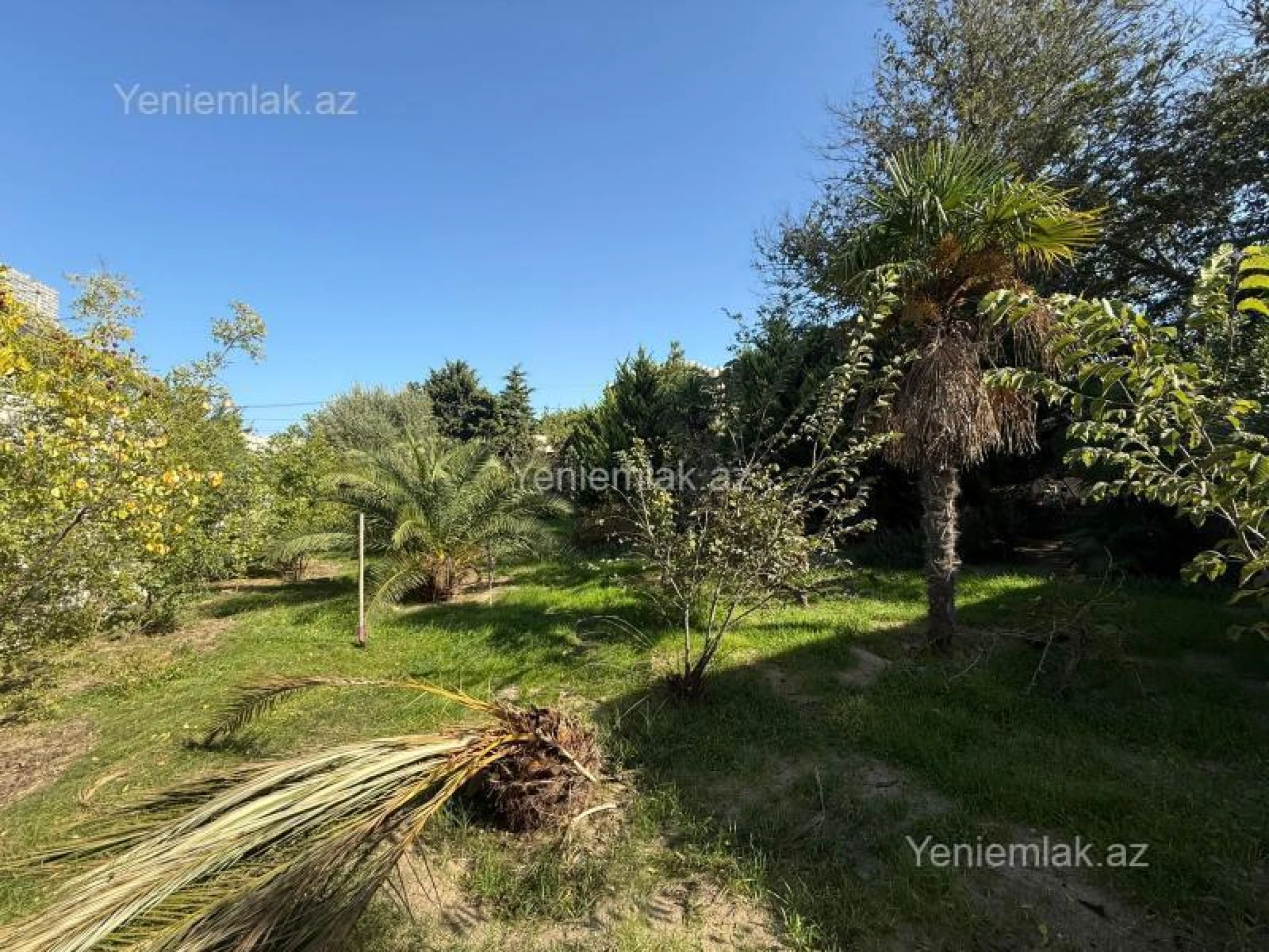 Satılır torpaq sahəsi