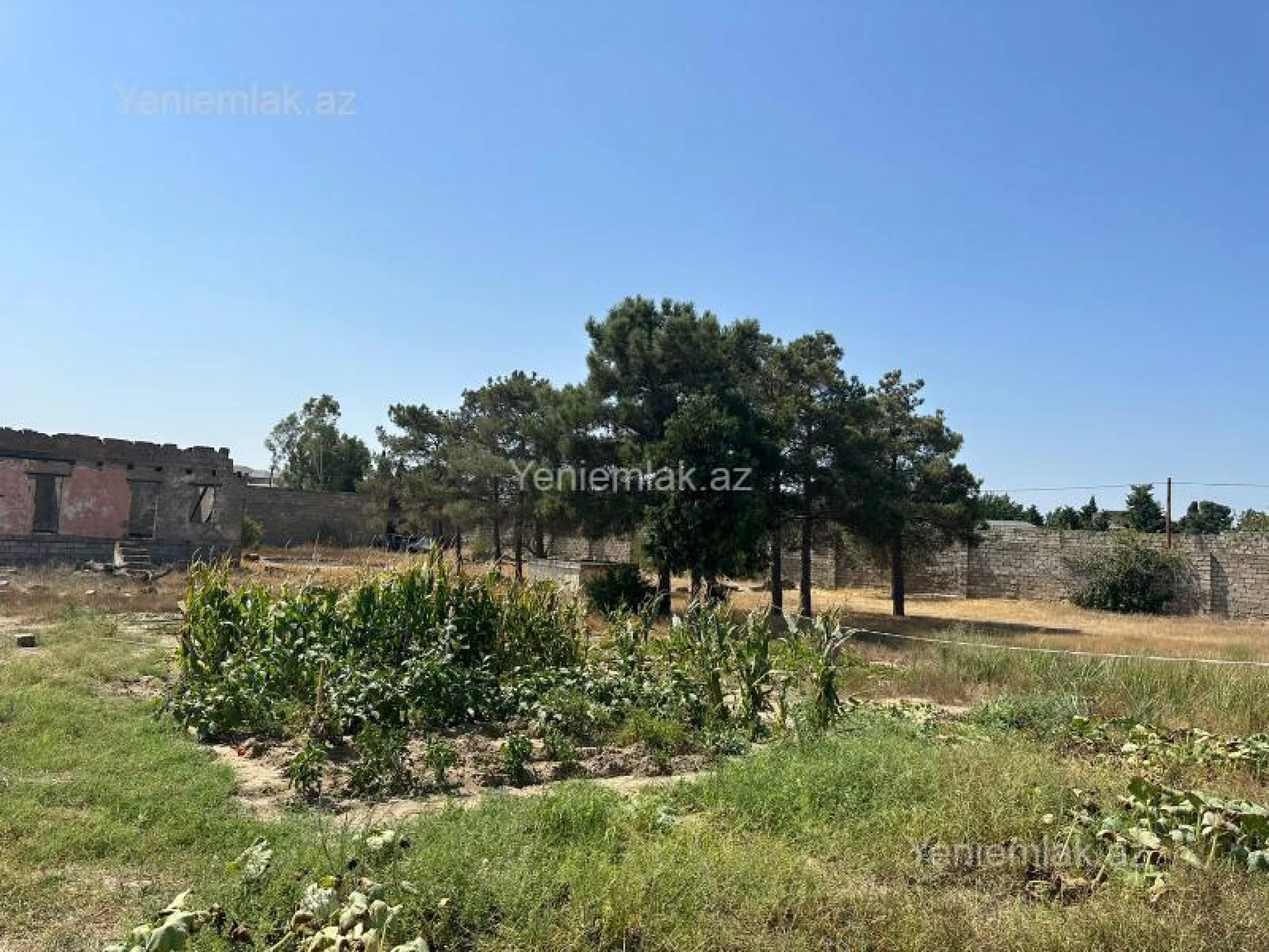 Satılır torpaq sahəsi