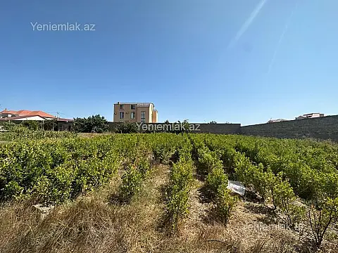 Satılır torpaq sahəsi