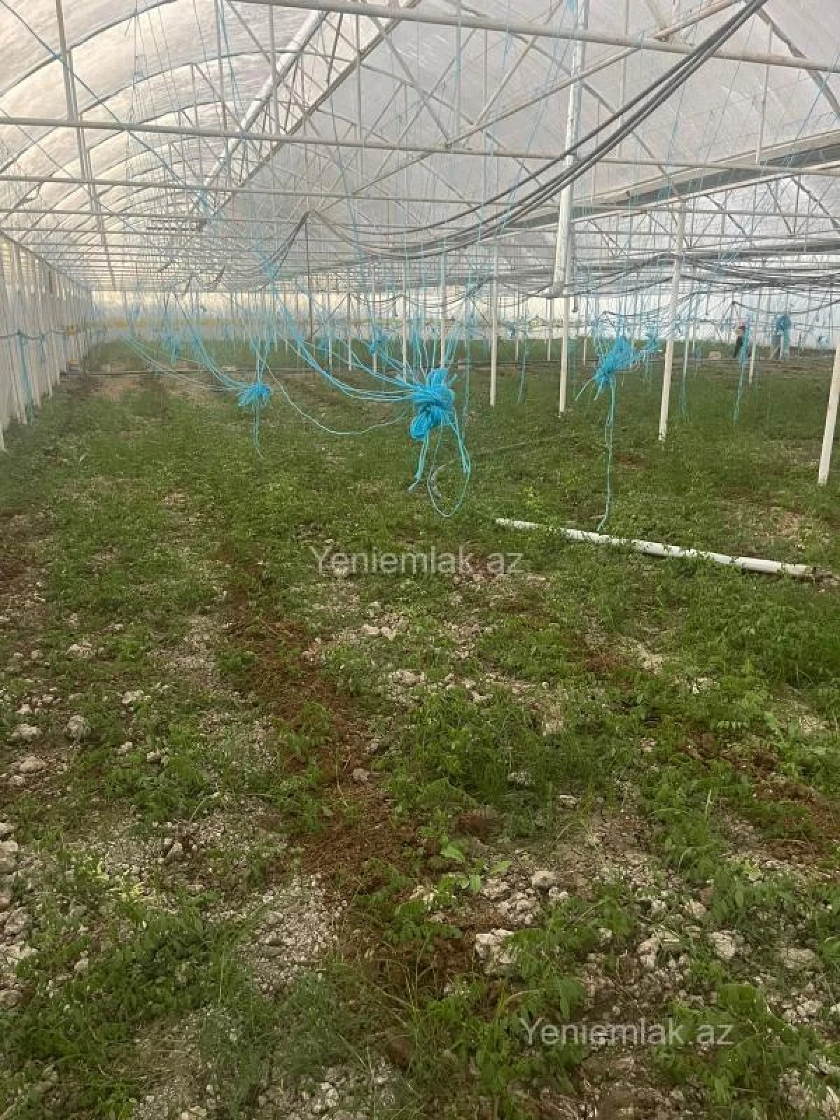 Satılır 6 otaqlı obyekt 8000 m²