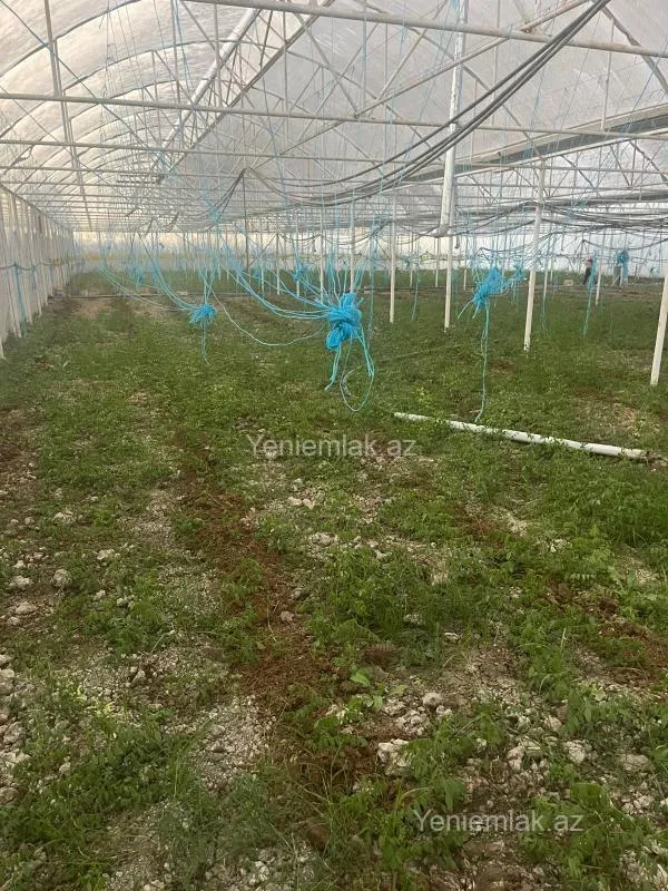 Satılır 6 otaqlı obyekt 8000 m²