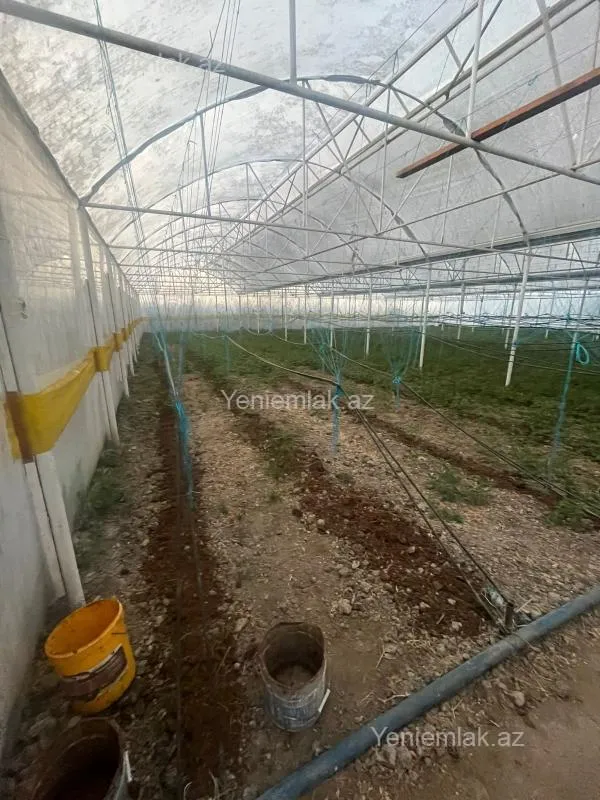 Satılır 6 otaqlı obyekt 8000 m²