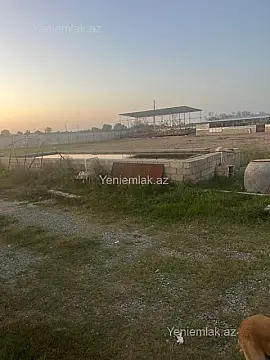 Satılır 6 otaqlı obyekt 8000 m²