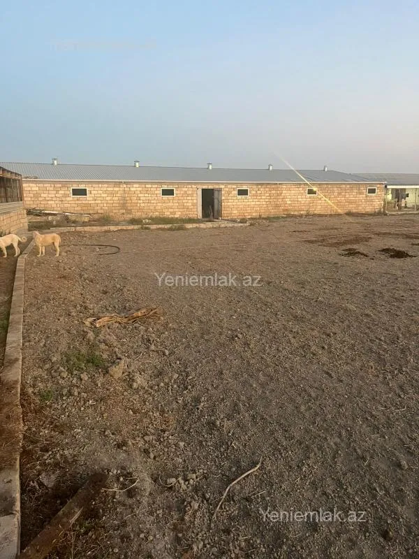 Satılır 6 otaqlı obyekt 8000 m²