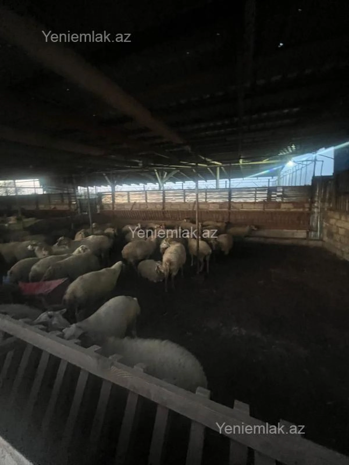 Satılır 6 otaqlı obyekt 8000 m²