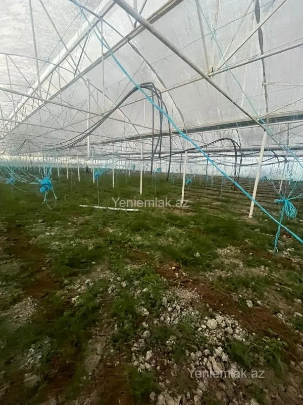 Satılır 6 otaqlı obyekt 8000 m²