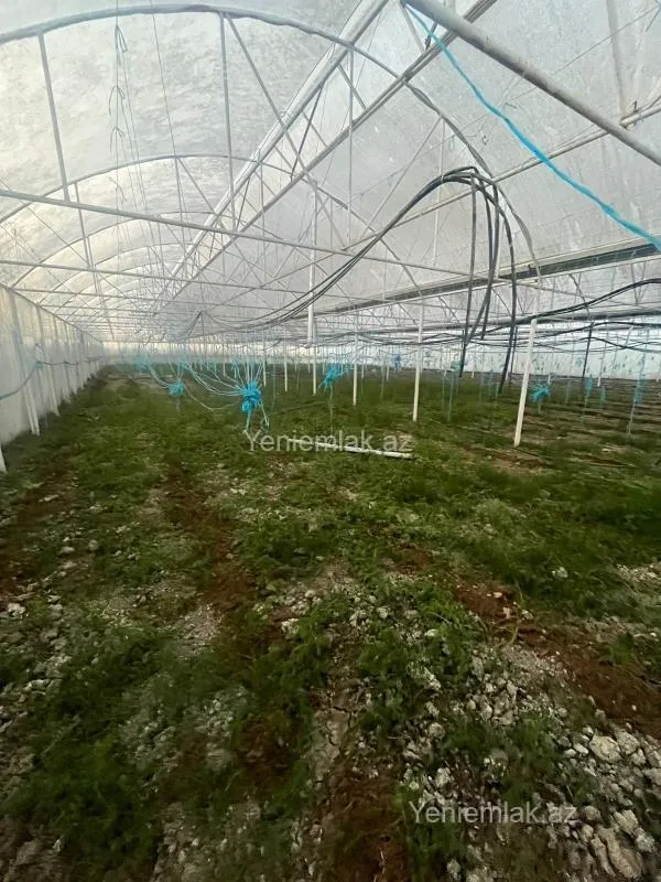 Satılır 6 otaqlı obyekt 8000 m²