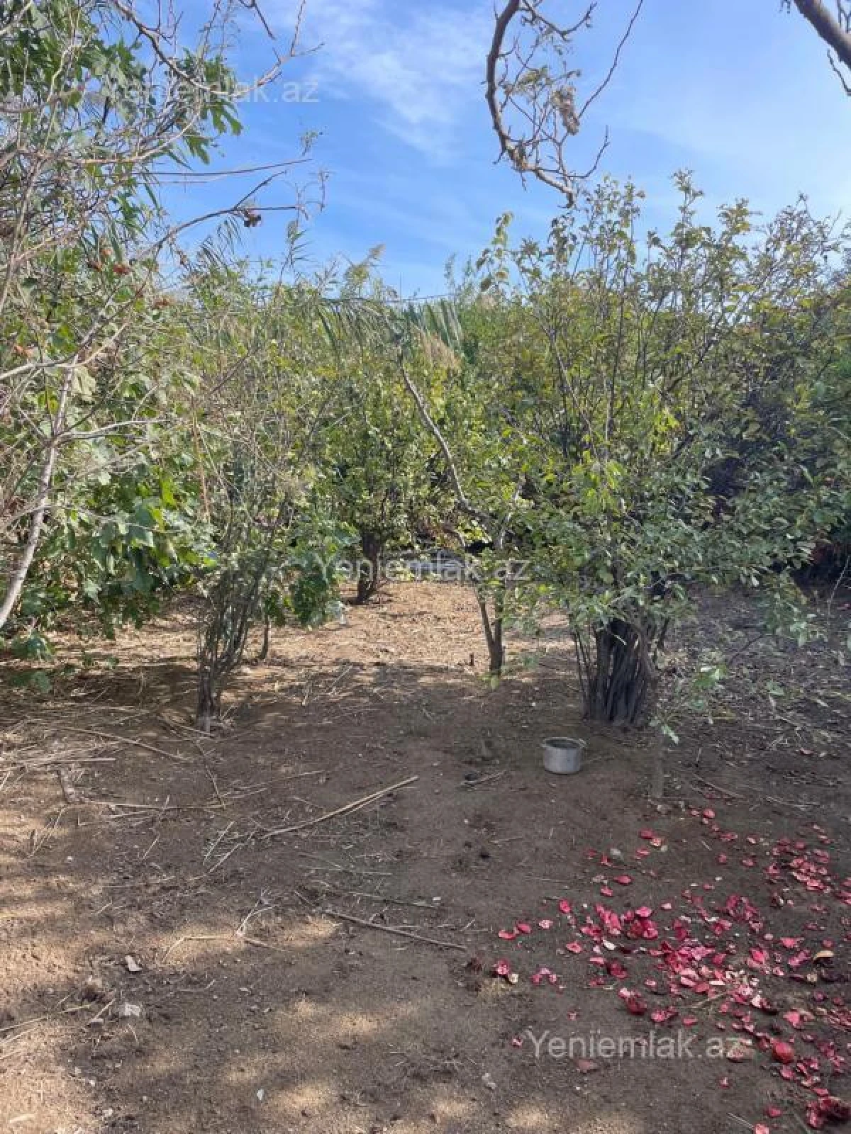 Satılır 4 otaqlı həyət evi 100 m²