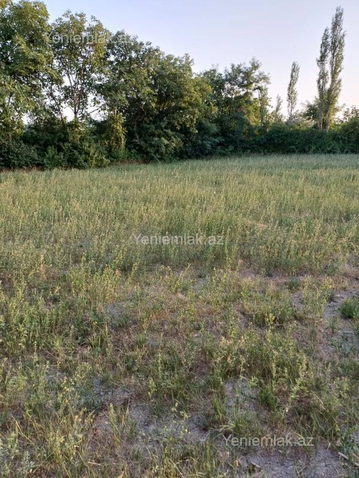 Satılır torpaq sahəsi