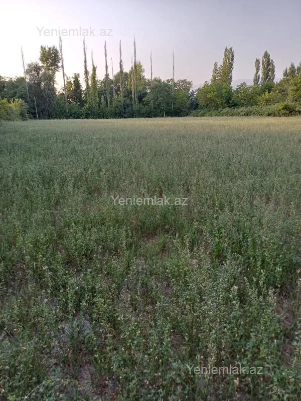 Satılır torpaq sahəsi