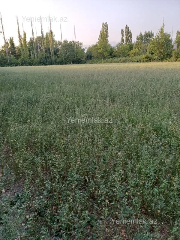 Satılır torpaq sahəsi