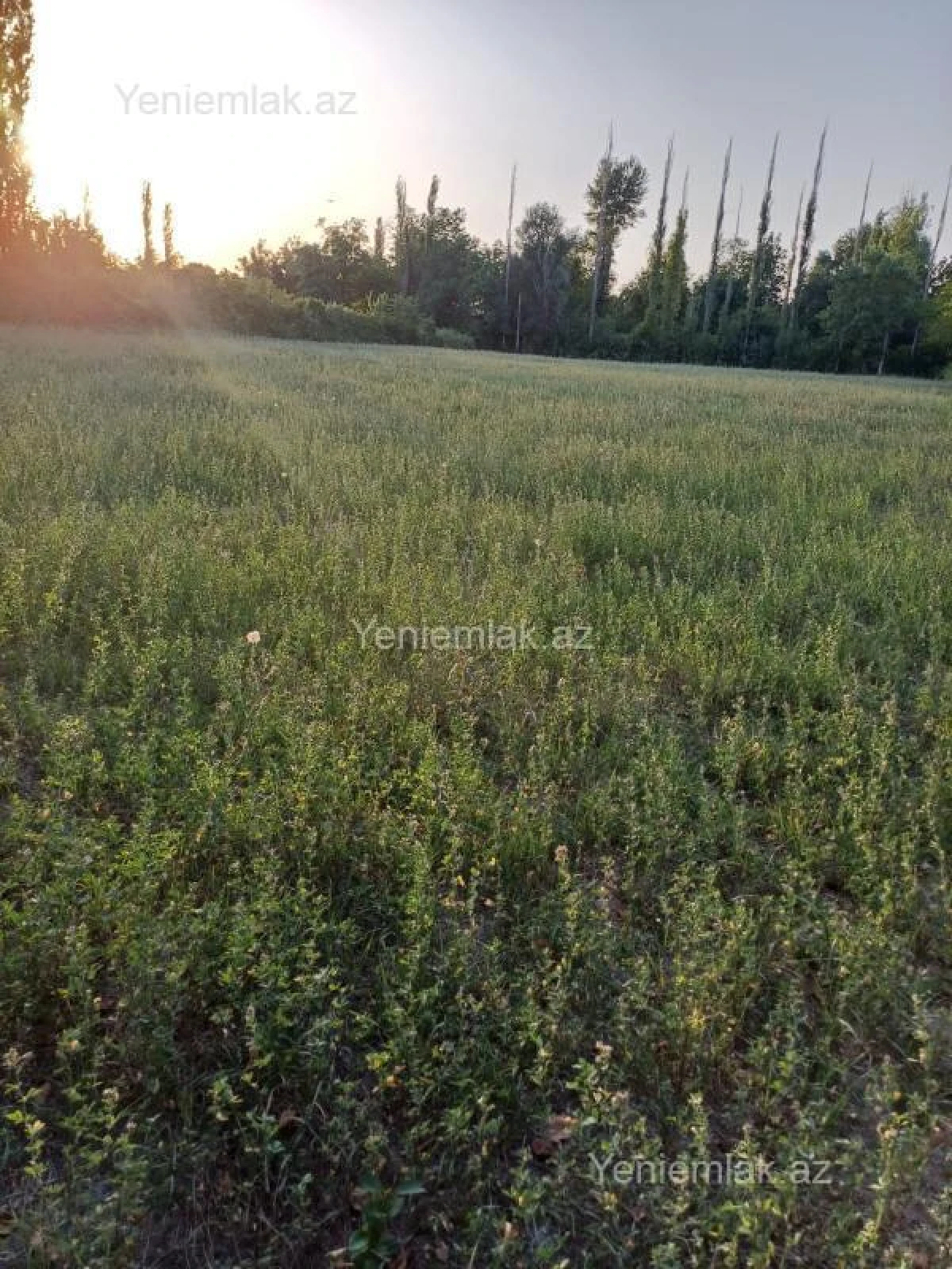 Satılır torpaq sahəsi