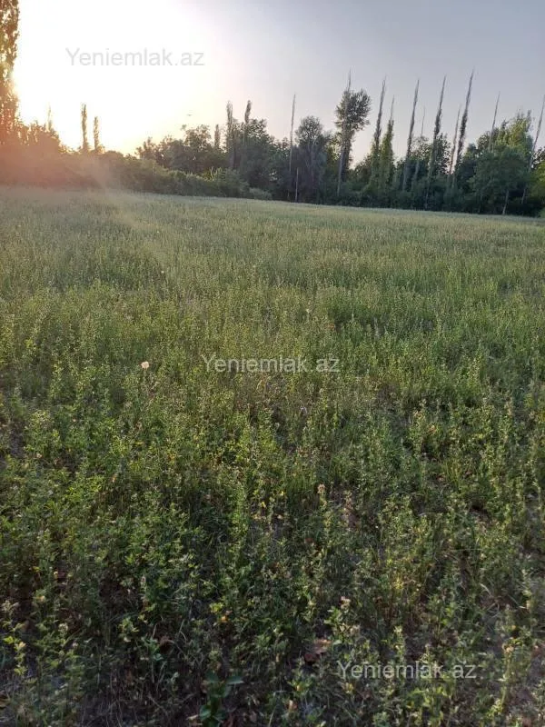 Satılır torpaq sahəsi