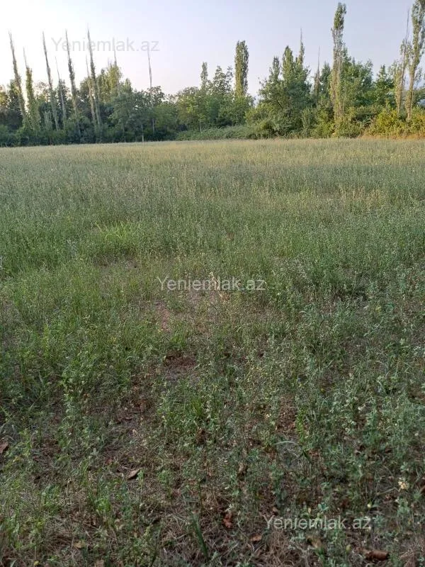 Satılır torpaq sahəsi