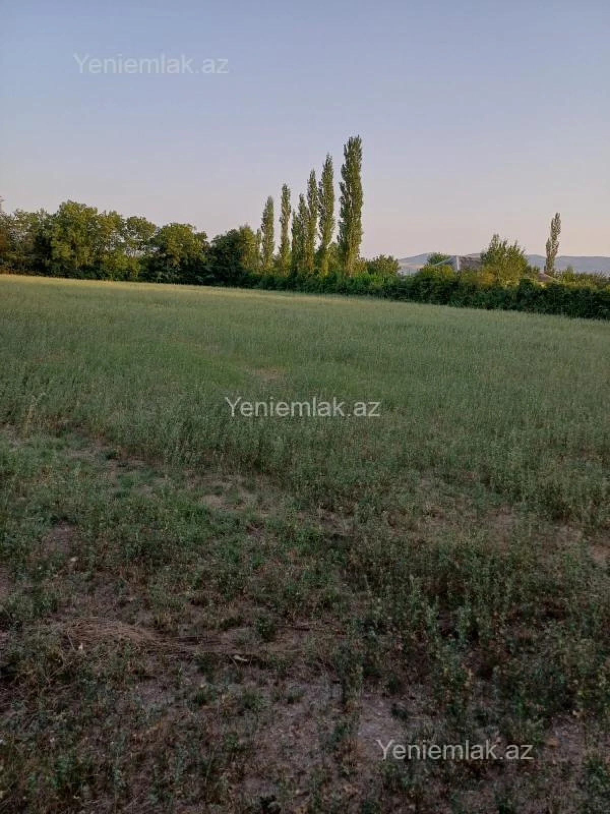 Satılır torpaq sahəsi