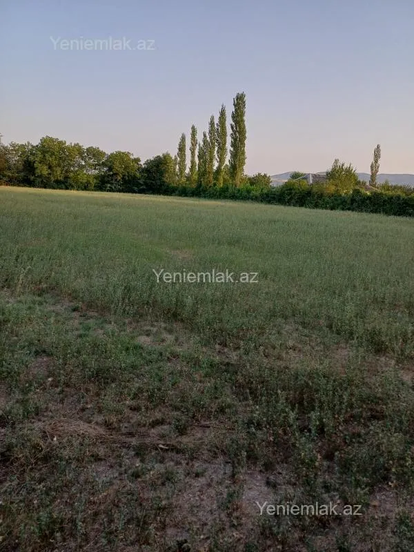 Satılır torpaq sahəsi