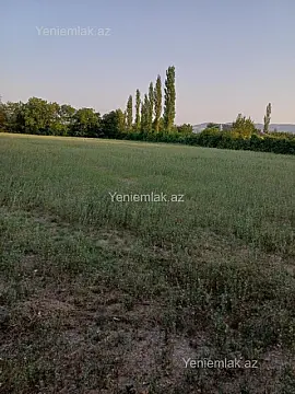 Satılır torpaq sahəsi — Şəki