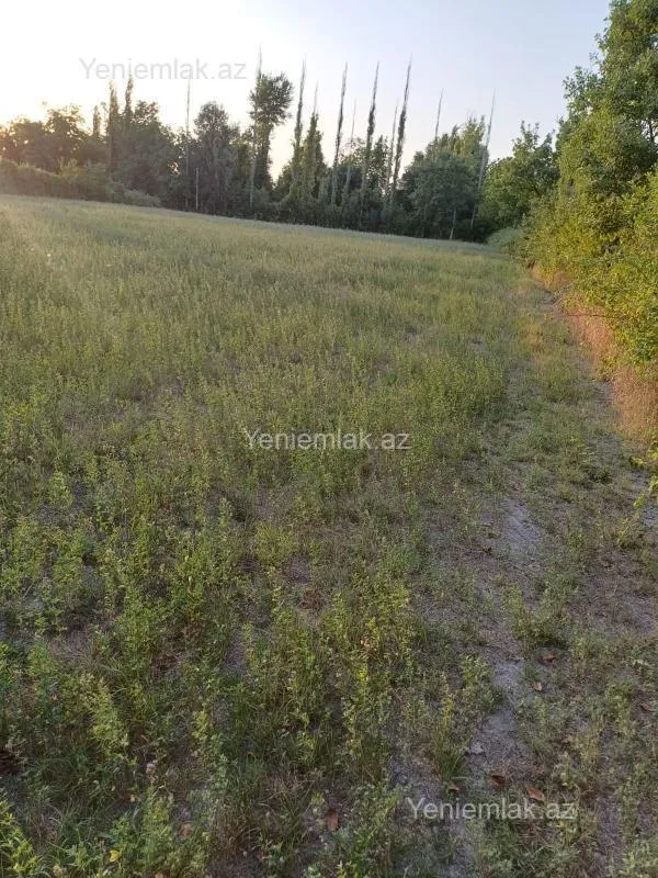 Satılır torpaq sahəsi