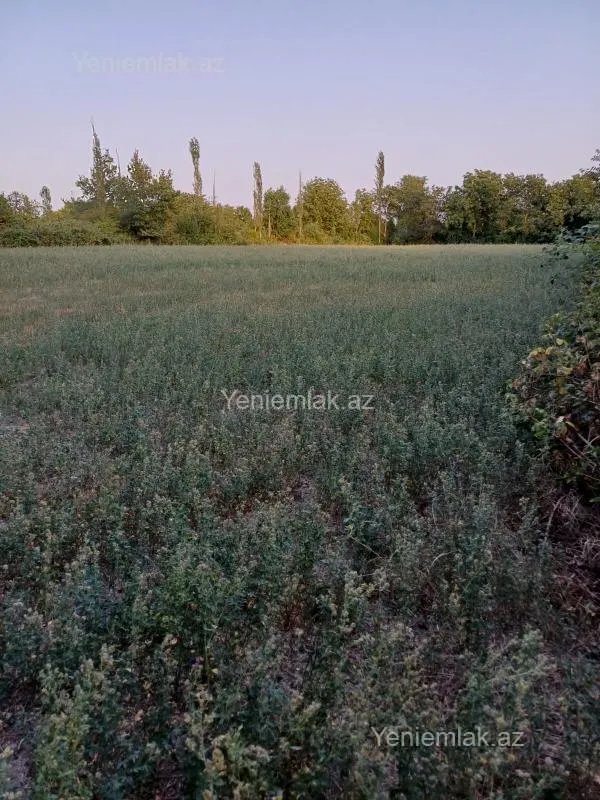 Satılır torpaq sahəsi
