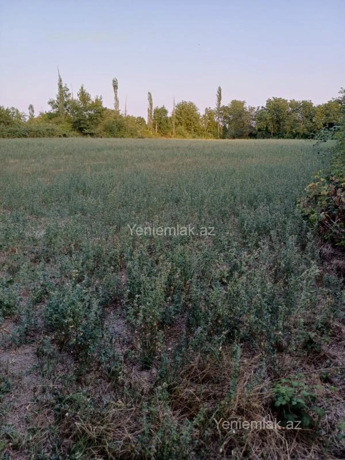 Satılır torpaq sahəsi