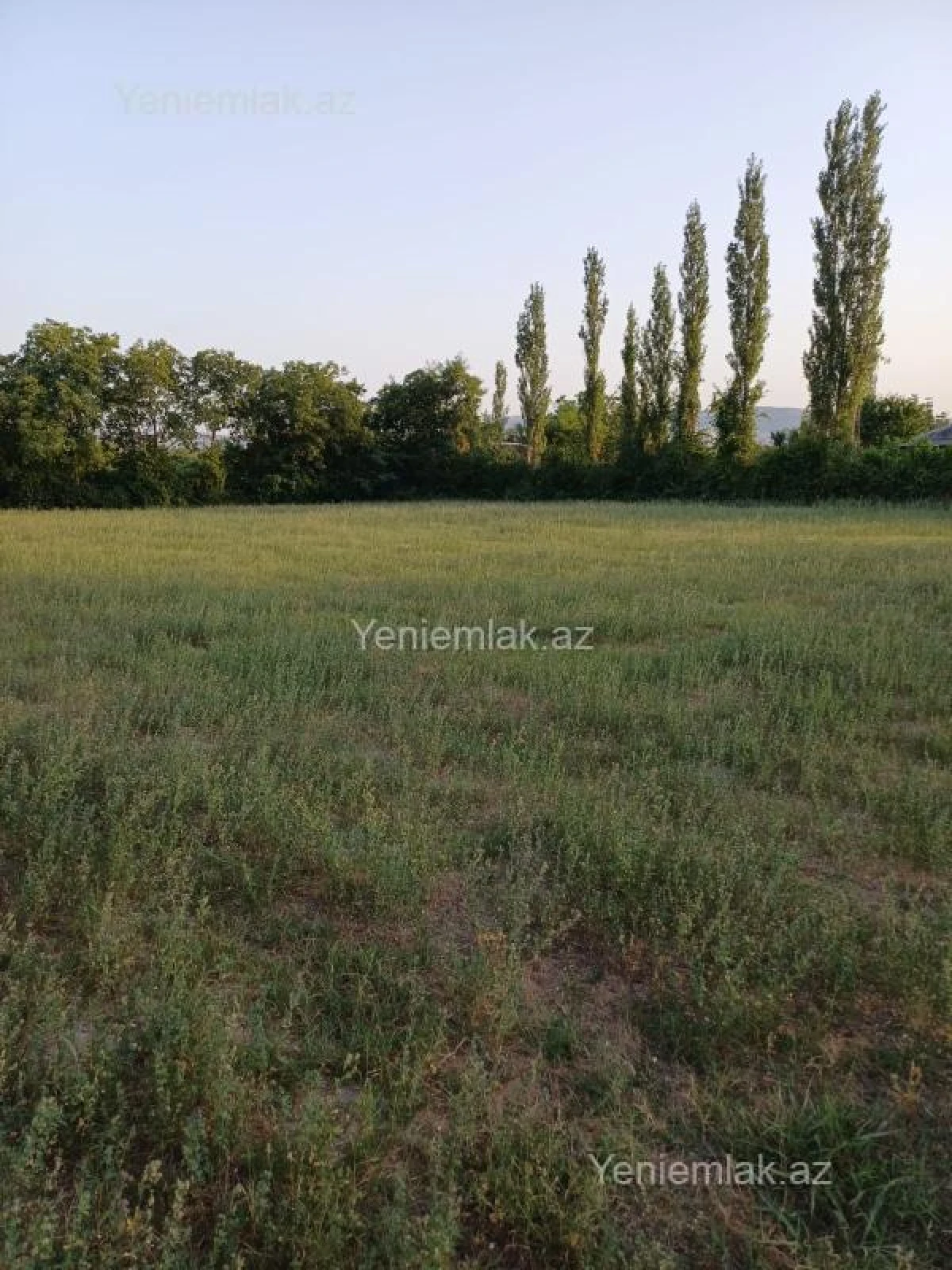 Satılır torpaq sahəsi